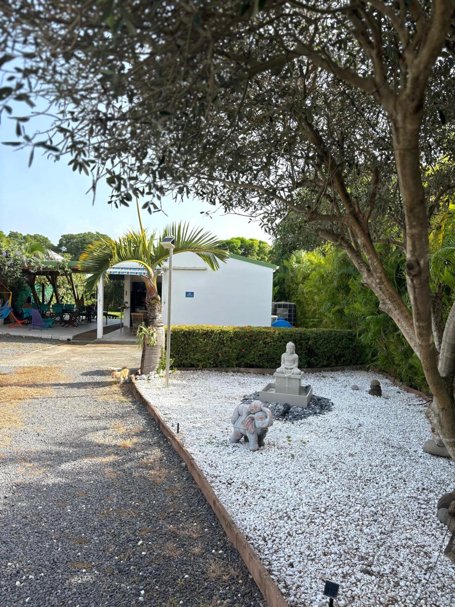 Gites Les Bienheureux - Piscine, Hamak, Terrasse Anse-Bertrand Exteriér fotografie